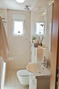 a bathroom with a toilet and a sink at KARBONACA APARTMENTS in Fažana