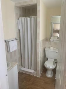a bathroom with a shower curtain and a toilet at The Stafford in Blackpool