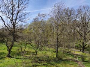 Příroda nedaleko apartmánu
