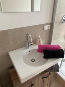 ein Waschbecken mit einem rosa Handtuch darauf in der Unterkunft Ferienwohnungen Jakobsberg in Bamberg