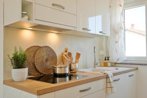 a kitchen with a counter with a pot and a sink at KARBONACA APARTMENTS in Fažana +21 photos