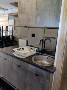 a kitchen with a sink and a counter with a sink at Villa Solina in Zawóz