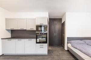 Köök või kööginurk majutusasutuses Apartmány Nová Salaš