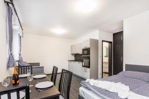 Köök või kööginurk majutusasutuses Apartmány Nová Salaš
