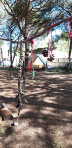 A garden outside The PineForest Cabin