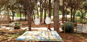 A garden outside The PineForest Cabin