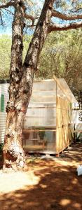 Kép The PineForest Cabin szállásáról Chiclana de la Fronterában a galériában