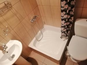 Un baño con inodoro, lavabo y ducha. en Sadiba Rozchil, en Yablunytsya