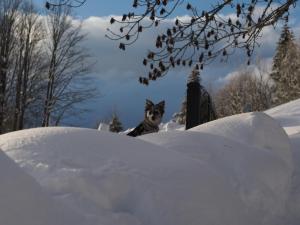 La Buca delle Fate Ristorante Albergo durante l'inverno