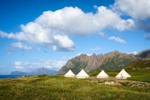 trzy białe namioty na polu z górami w tle w obiekcie Vesterålen Beach Glamping w mieście Bø i Vesterålen