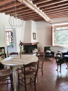 eine Küche und ein Wohnzimmer mit einem Tisch und einem Hund in der Unterkunft Pietra d'Acqua B&B in the woods in Buti