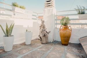 Fotografia z galérie ubytovania La Casa di Agata v destinácii Ceglie Messapica