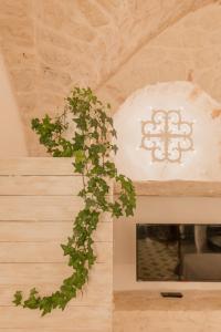 Fotografia z galérie ubytovania La Casa di Agata v destinácii Ceglie Messapica