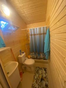 y baño pequeño con aseo y ducha. en Guest house Adel, en Novi Afon
