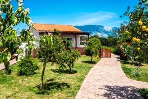 a garden with orange trees and a house at Xarafailte Summer House in Metaxáta