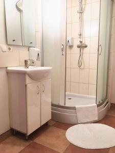 La salle de bains est pourvue d'un lavabo et d'une douche. dans l'établissement Monica, à Yanoshi