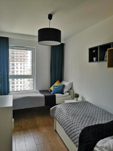 sypialnia z 2 łóżkami, kanapą i oknem w obiekcie Apartamenty 48 Letnica w Gdańsku