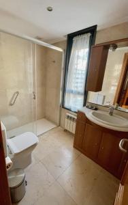 A bathroom at Apartamento Paseo de la Losa