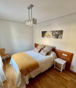1 dormitorio con 1 cama y luz colgante en Apartamento Paseo de la Losa, en Oviedo