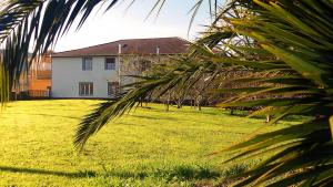 a palm tree in front of a house at CASA LA REVERENDA in Barcia