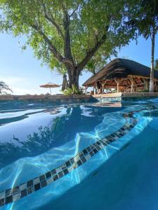 a swimming pool with a tree and a pavilion at Shametu River Lodge in Divundu
