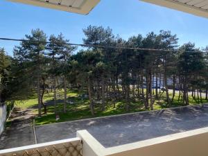 a balcony with a view of a park at Bel appartement 4 personnes balcon, centre ville in Le Touquet-Paris-Plage