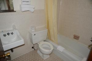 y baño con aseo blanco y lavamanos. en Starlite Motel, en Wisconsin Dells