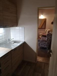 una cocina con fregadero y una cama en una habitación en Penzión Thamasy, en Spišské Tomášovce