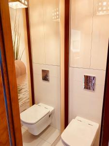 uma casa de banho com um WC e um lavatório em Apartament Elizabeth em Gdynia