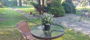 Ogród w obiekcie Villa Veronika