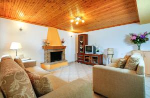 a living room with a couch and a fireplace at Villa Nicole in Theológos