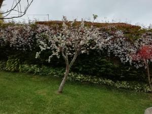 Ogród w obiekcie El Oteru I