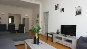 Belga Apartment 3 bedrooms. في أنتويرب: غرفة معيشة مع أريكة وتلفزيون