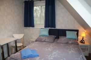 グダニスクにあるPokoje, apartament NA WYSPIEのベッドルーム1室(青い枕のベッド1台、窓付)