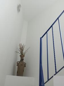 Fotografie z fotogalerie ubytování Milenio III B&B v destinaci Querétaro