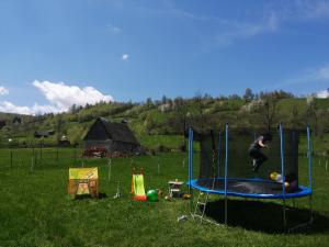 a woman jumping on a trampoline in a field at Casa In Curte La Zavate in Bran