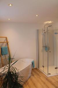 a bathroom with a shower and a glass tub at Fewo BELVEDERE- R-Auszeit in Bad Wildungen mit eigener Sauna in Bad Wildungen