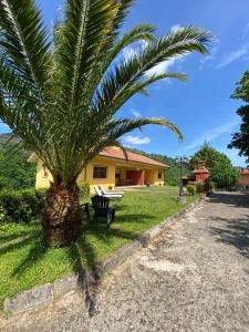 una palmera y un banco frente a una casa en Finca La Cuesta, en Cangas de Onís