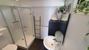 a bathroom with a shower and a toilet and a sink at Lake House 19 relax accommodation in Warmond +36 photos