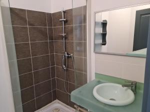 a bathroom with a shower with a toilet and a sink at Beaugency-3 sur la route des châteaux in Beaugency +46 photos
