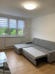 a living room with a couch and two windows at Apartmán Frymburk 30 in Frymburk