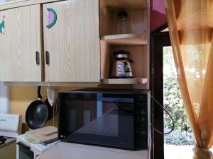 a kitchen with a microwave and a counter top at Villa Gabriela, Casa Tucan in Liberia +53 photos