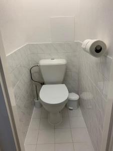 Koupelna v ubytování Apartmán Frymburk 30 + 19 fotografií