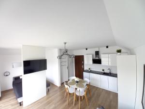 Kuchyňa alebo kuchynka v ubytovaní Apartamenty Asis