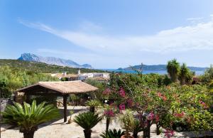Táj Show holiday homes közelében
