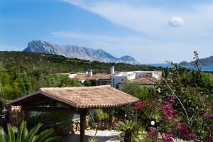 Táj Show holiday homes közelében