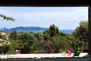 Táj Show holiday homes közelében