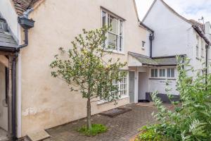 a small tree in the courtyard of a house at Wonderful wooden beamed 17th century retreat - White Lion Cottage in Hadleigh