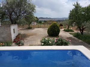 a blue swimming pool in a yard with flowers at Casa de Pascual in Yecla