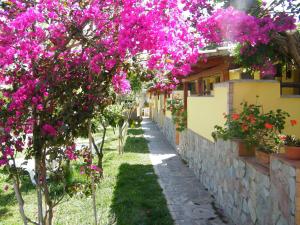 Zahrada ubytování Hotel Villaggio Tabù